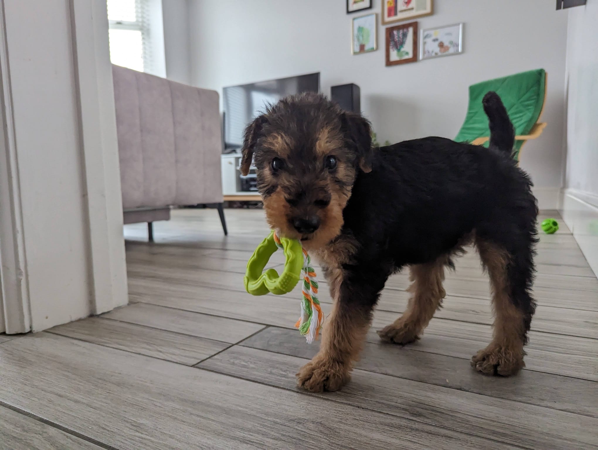 The Renters’ Rights Bill: What Landlords Need to Know